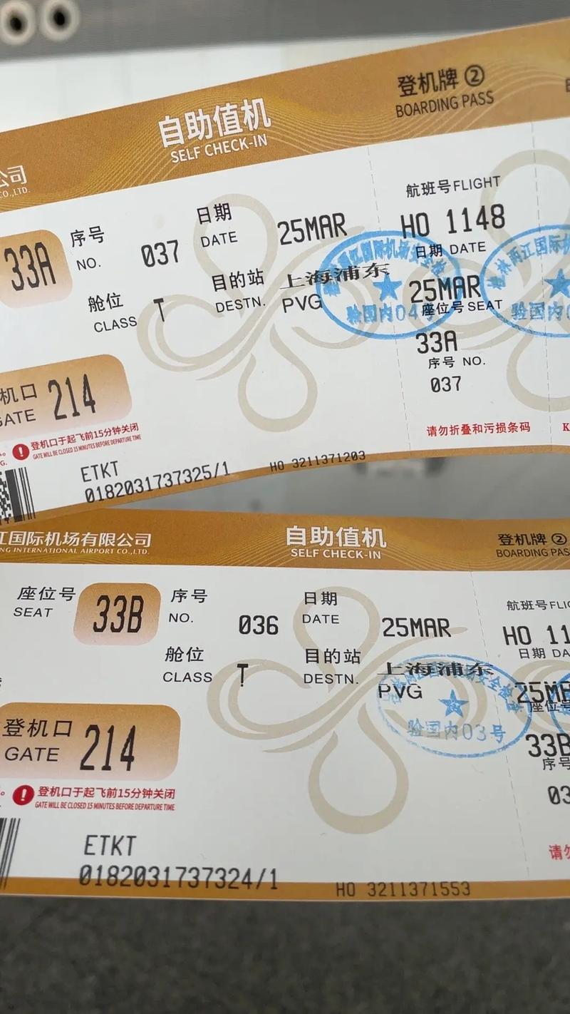 机票已出回家